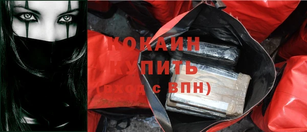 соль ск Кукмор
