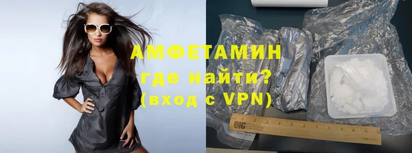 индика Щучье