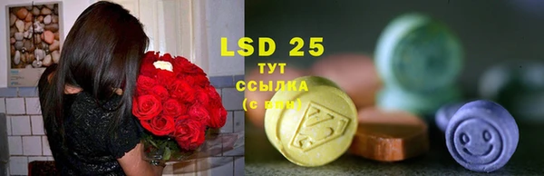 дмт Кулебаки