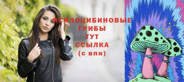 дмт Кулебаки