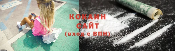 соль ск Кукмор