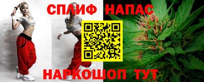 гидра Гай