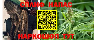 МДПВ Гатчина