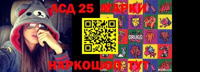 гидра Гай
