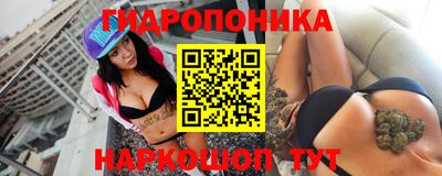 МДПВ Гатчина
