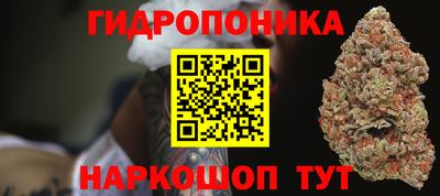 гидра Гай