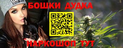МДПВ Гатчина