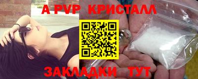 гидра Гай