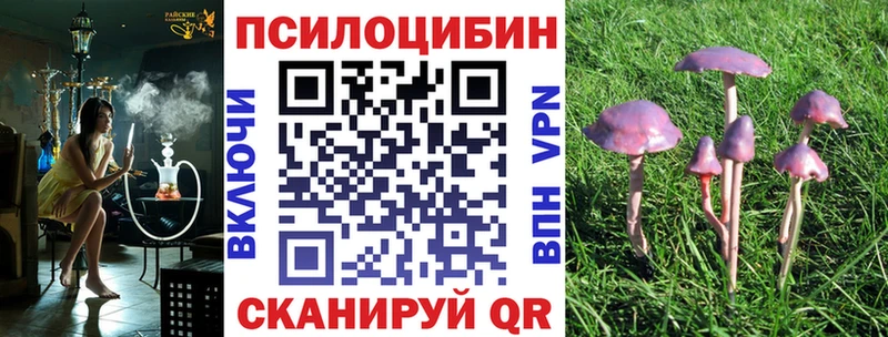 это телеграм даркнет сайт ссылка на мегу онион Керчь Псилоцибиновые грибы GOLDEN TEACHER