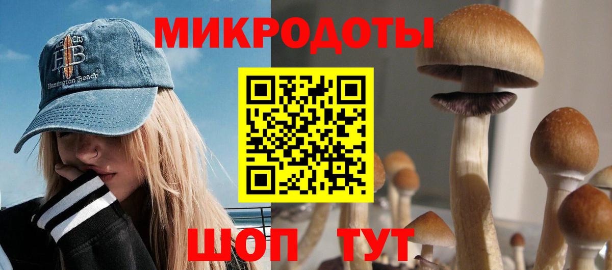 Галлюциногенные грибы Psilocybine cubensis  Вход с VPN  Керчь 