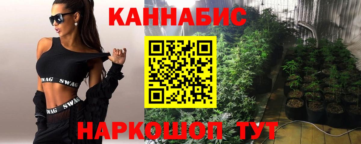 Бошки марихуана марихуана Керчь
